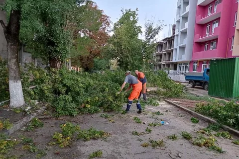 Фото галереи