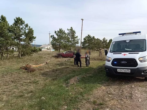 Фото галереи