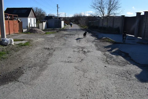Фото галереи