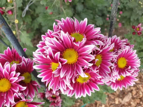Фото галереи