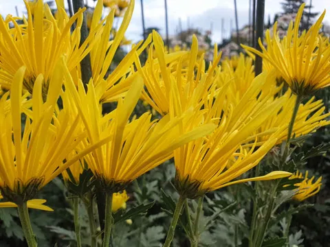 Фото галереи