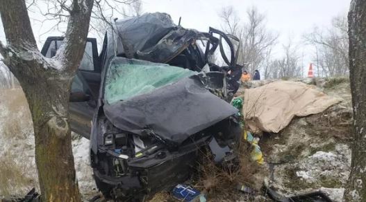 В Крыму Hyundai слетел с дороги и врезался в дерево - водитель погиб