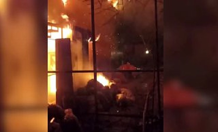 Восстановить зооколлекцию после пожара в Евпатории помогут ялтинский зоопарк и «Тайган»