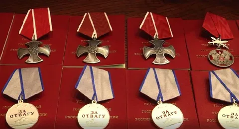 Фото галереи