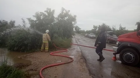 Фото галереи