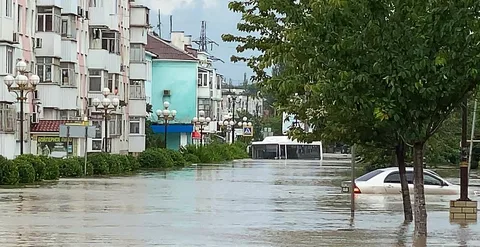 Фото галереи