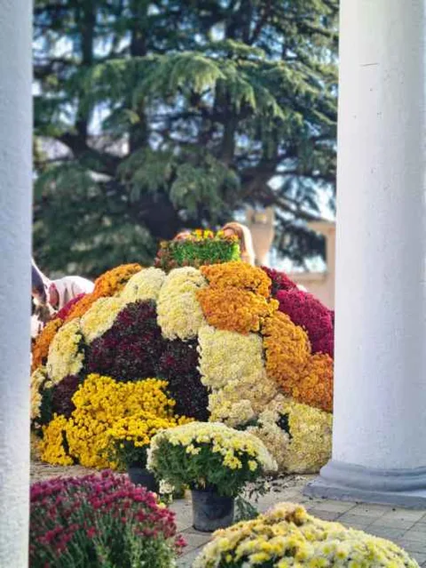 Фото галереи