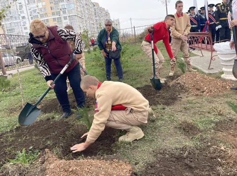 Фото галереи