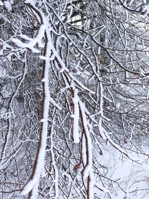 Фото галереи