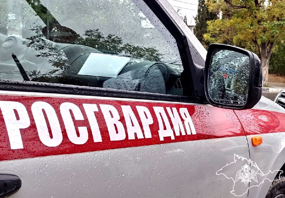 Пьяный турист ночью проник на территорию гимназии в Севастополе