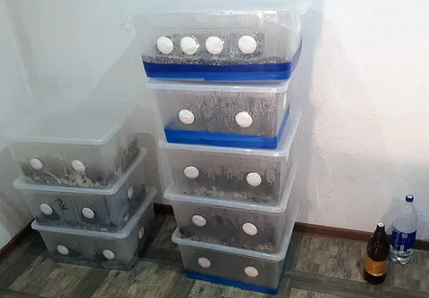 Фото галереи