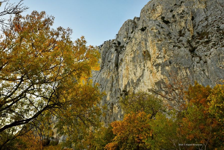До конца осени в Крыму и Севастополе сохранится теплая комфортная погода (прогноз на 27 ноября) 
