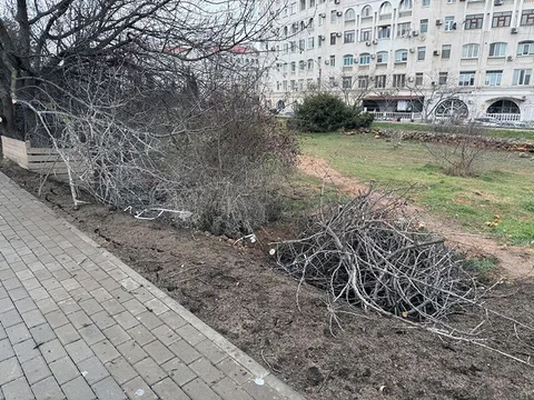 Фото галереи