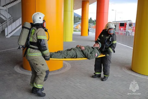 Фото галереи