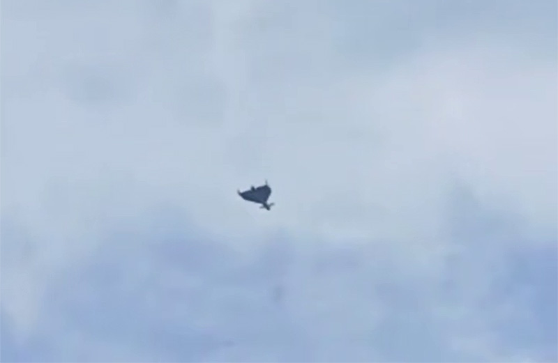 Днем 28 июля в Севастополе отразили атаку украинских БПЛА — есть сбитие целей