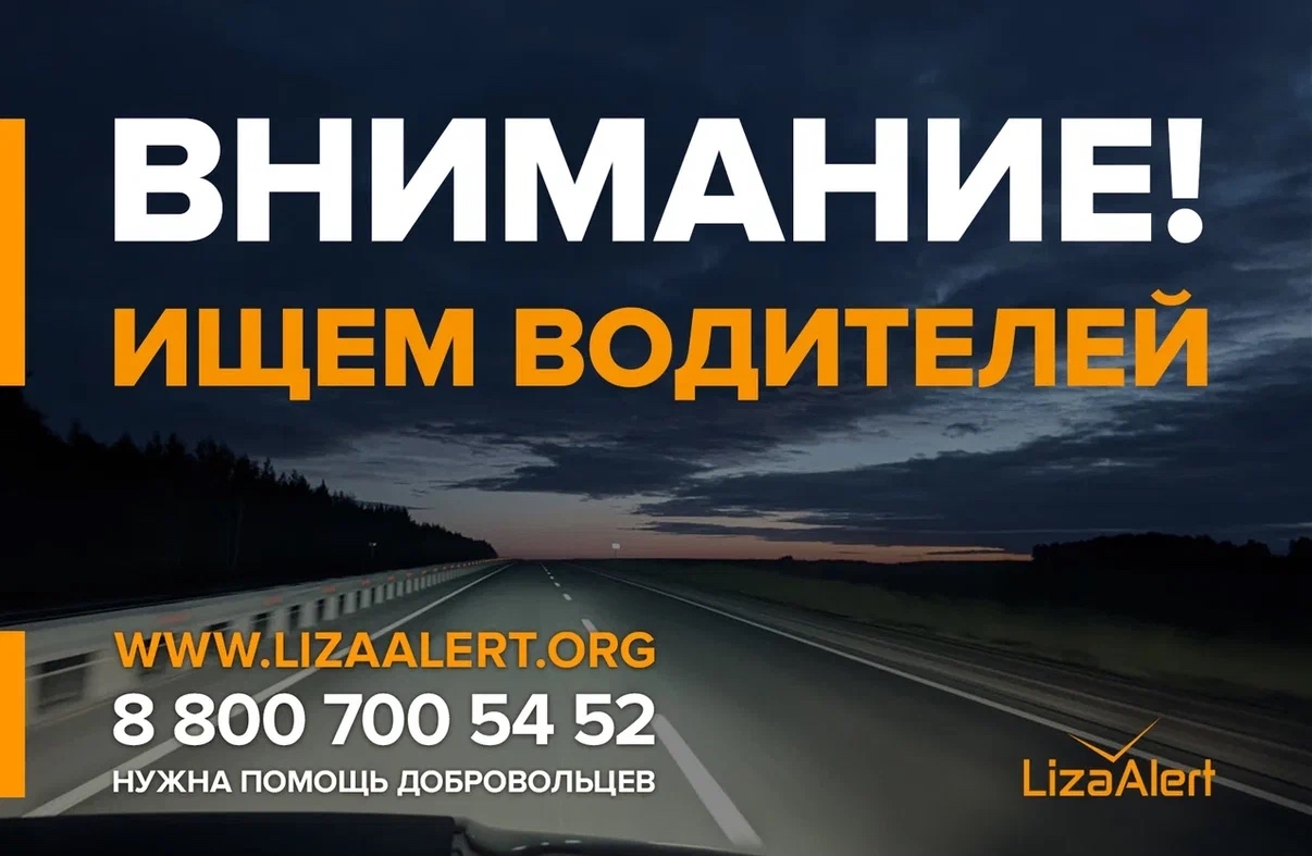 Водителей просят проверить видеорегистраторы для поиска пропавшей в Крыму молодой женщины