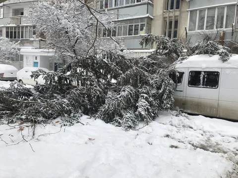 Фото галереи
