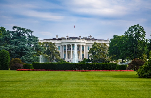 «Потенциально великий день для России и Украины!»: Трамп прокомментировал предложение Путина о прямых переговорах с Украиной