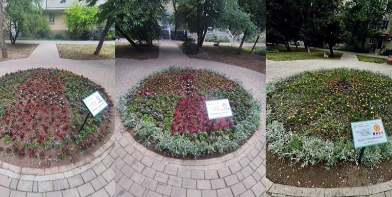 Севастопольские школьники могут попробовать себя в качестве ландшафтных дизайнеров