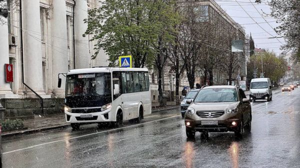 Чат-бот по поиску автомобиля заработал в Севастополе