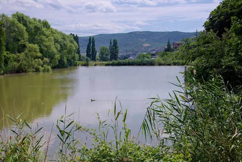 Фото галереи