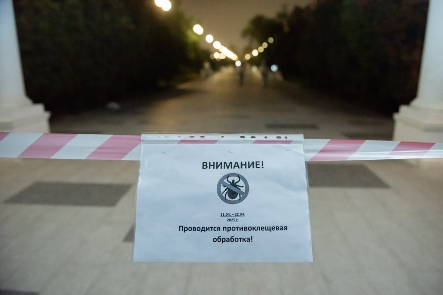 В Севастополе идёт обработка зеленых территорий от клещей