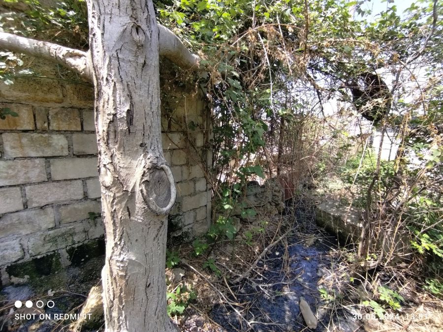 В Севастополе с нарушителя требуют более 700 тысяч рублей за загрязнение земель