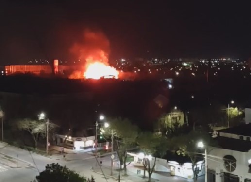 В Евпатории вспыхнул пожар в экзотариуме «Тропик-парк» (видео)
