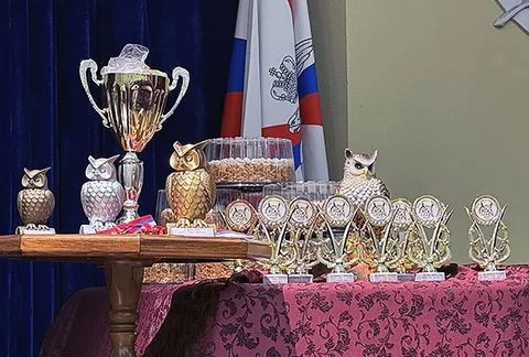 Фото галереи