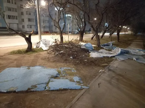 Фото галереи