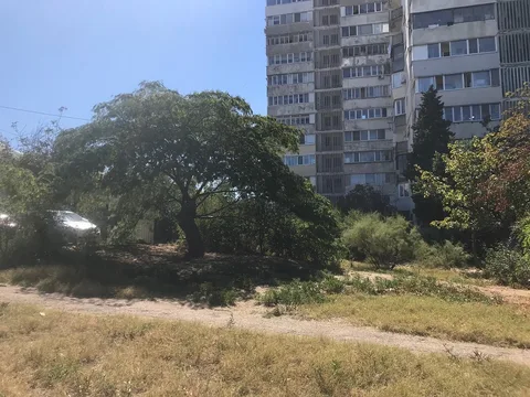 Фото галереи