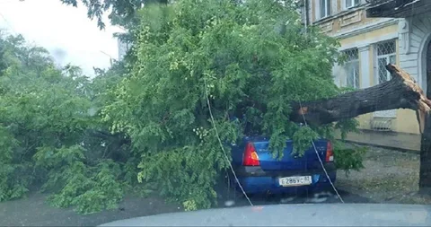 Фото галереи