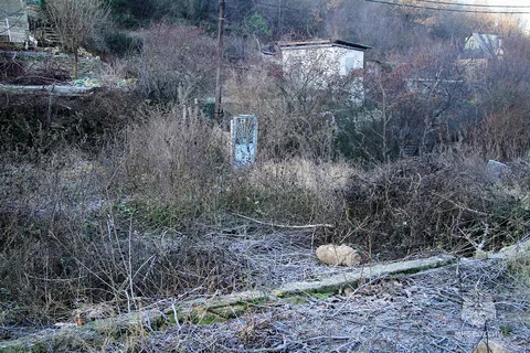Фото галереи