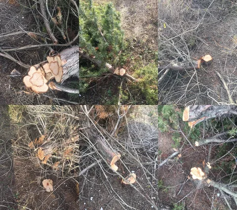 Фото галереи