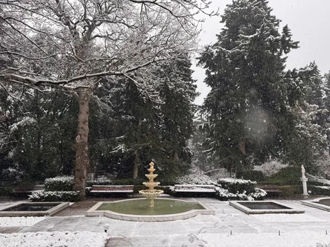 Фото галереи