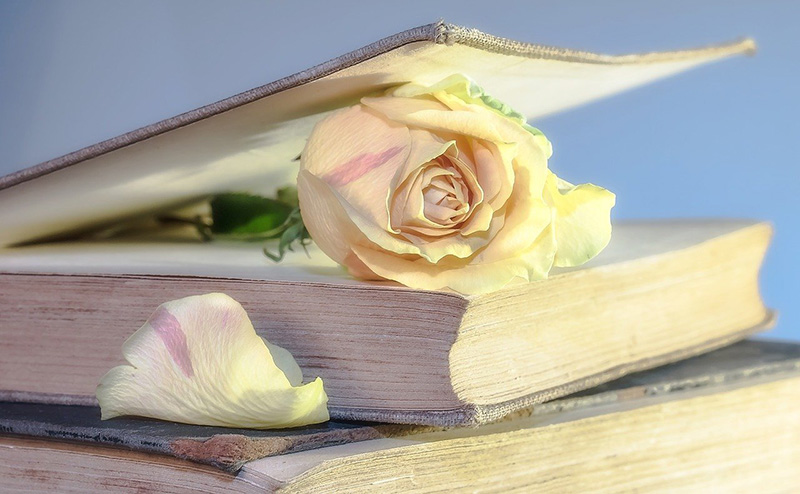 В севастопольском парке Победы началась акция «Книговорот»