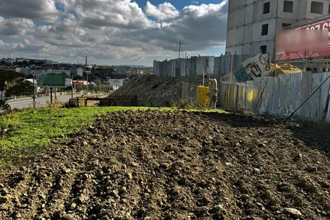 Фото галереи