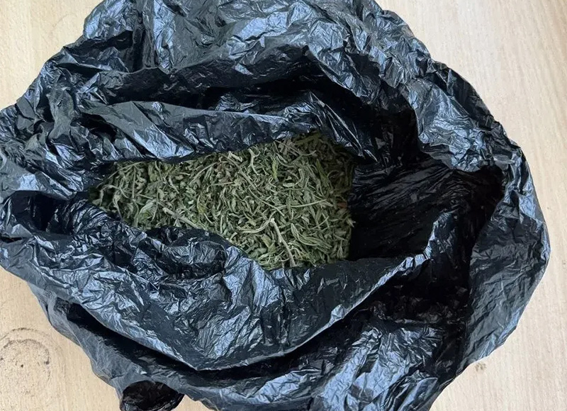Наркосбытчик из Феодосии более пяти лет проведет в колонии строгого режима