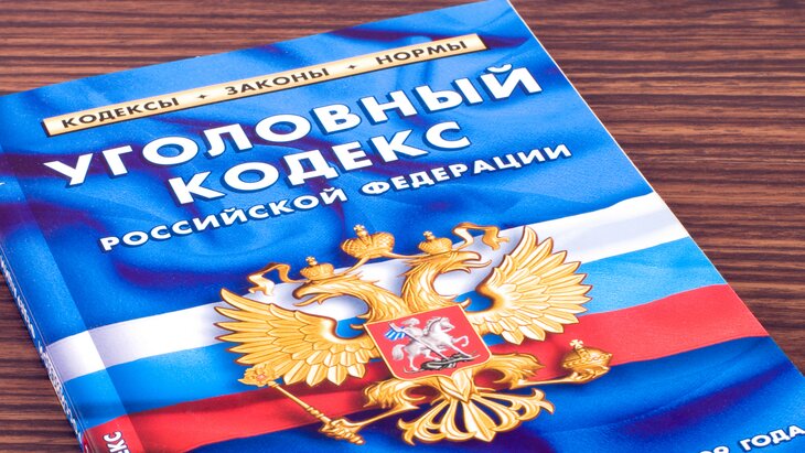 МВД не одобрило дополнение УК об ответственности за оскорбление бойцов СВО