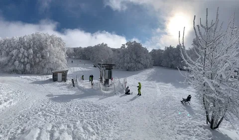 Фото галереи