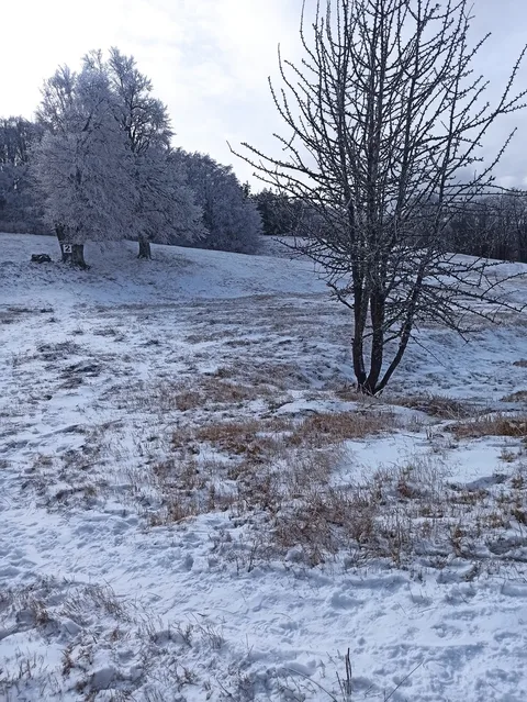 Фото галереи