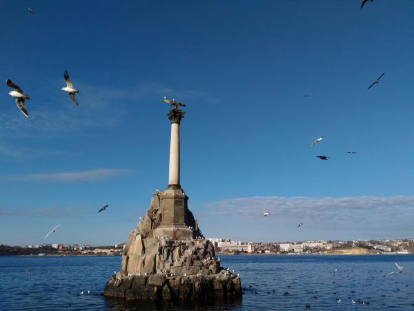 Во время миграционного рейда в Севастополе проверили 730 жилых строений