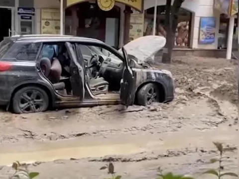 Фото галереи