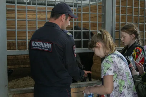 Фото галереи