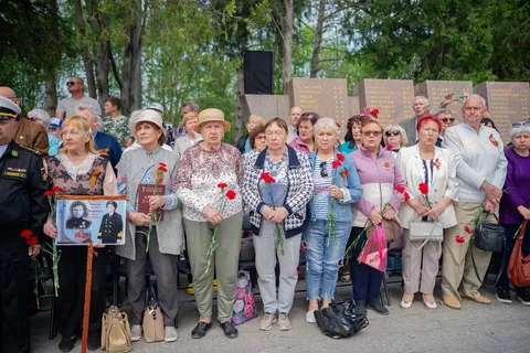 Фото галереи