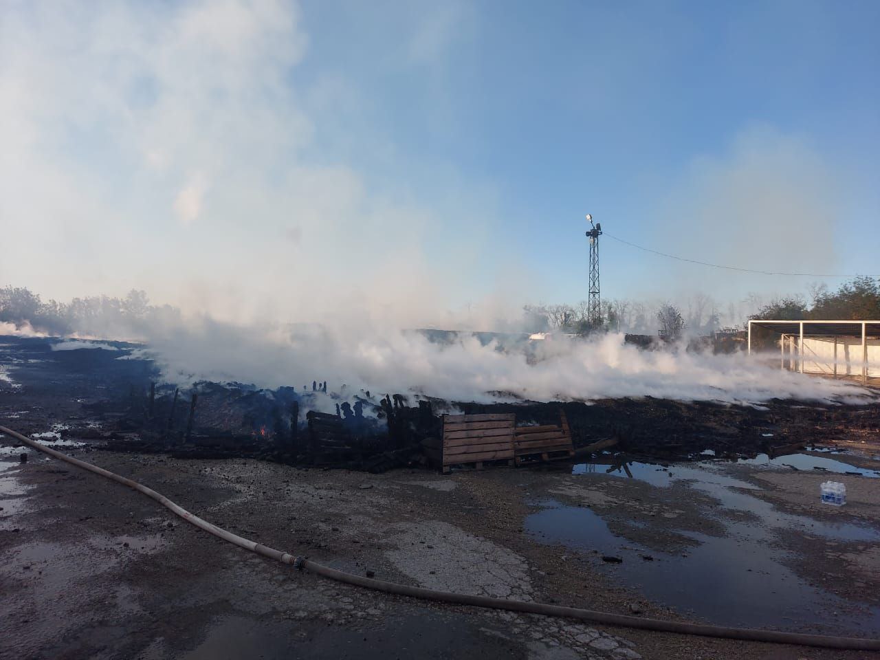 В Крыму тушат пожар на площади 1800 квадратных метров