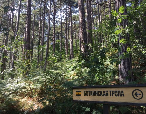 Ночью в горах Крыма искали двоих заблудившихся подростков