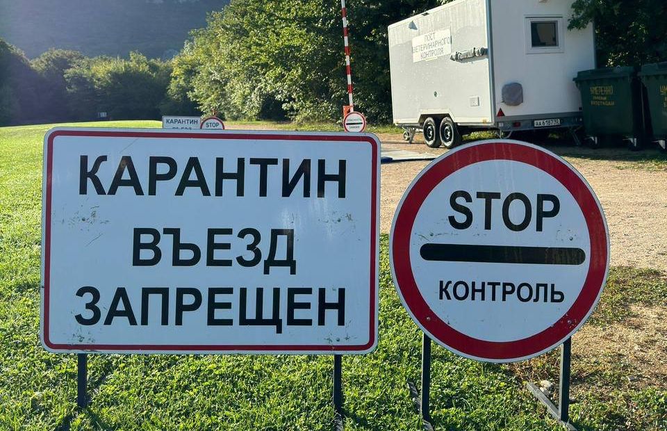 В рамках учений в Севастополе ликвидируют условный очаг гриппа птиц