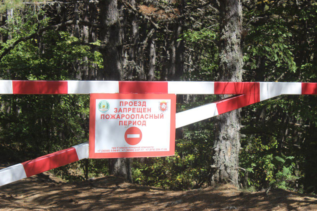 В Крыму продлили ограничение на посещение лесов