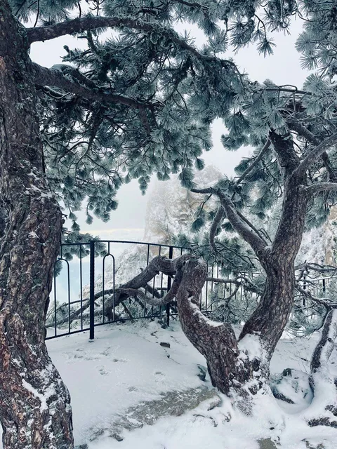 Фото галереи